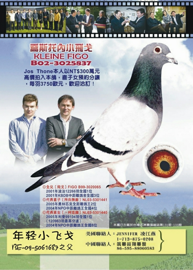 年轻小飞戈(仅供欣赏)