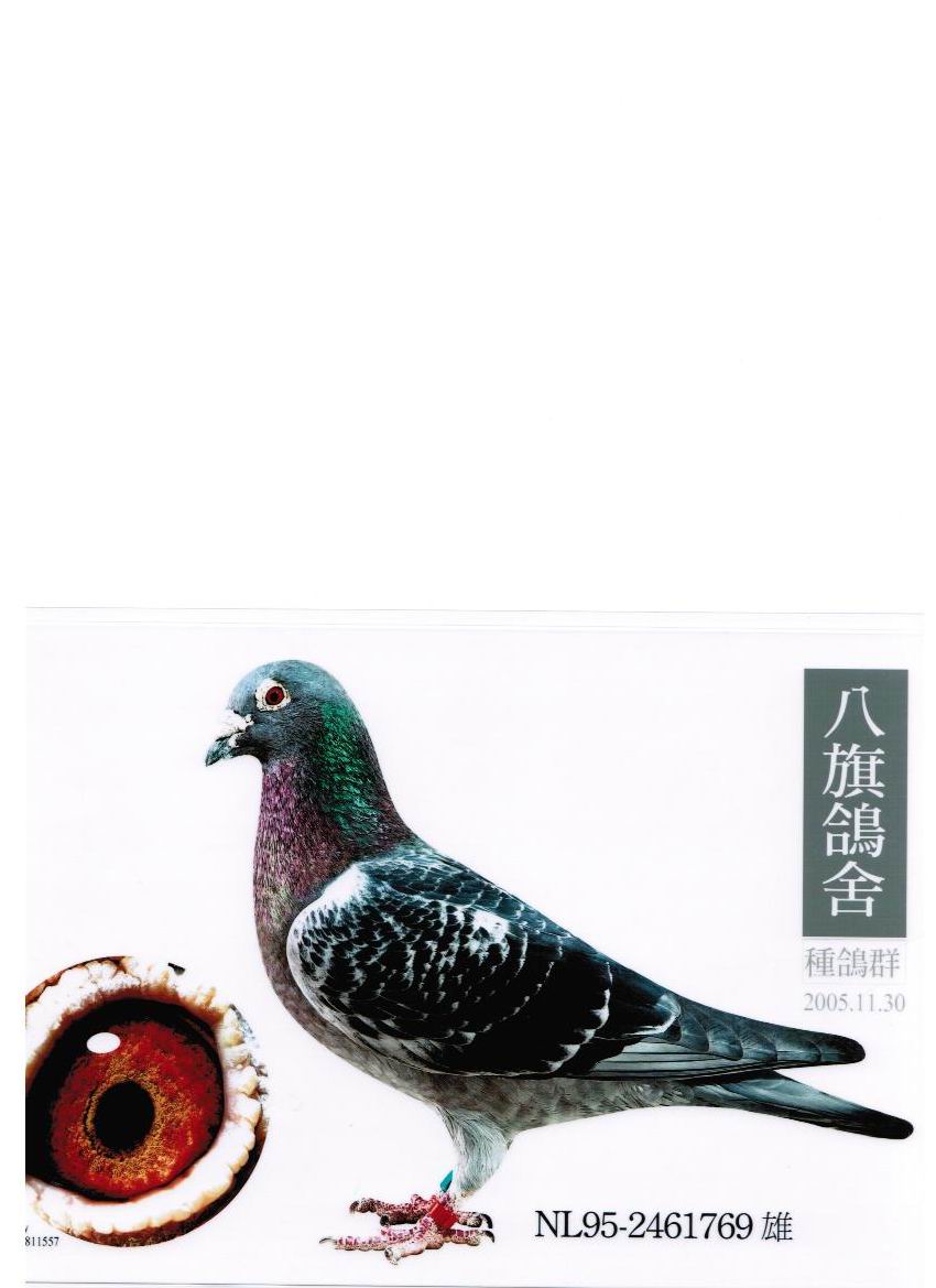 王者之王