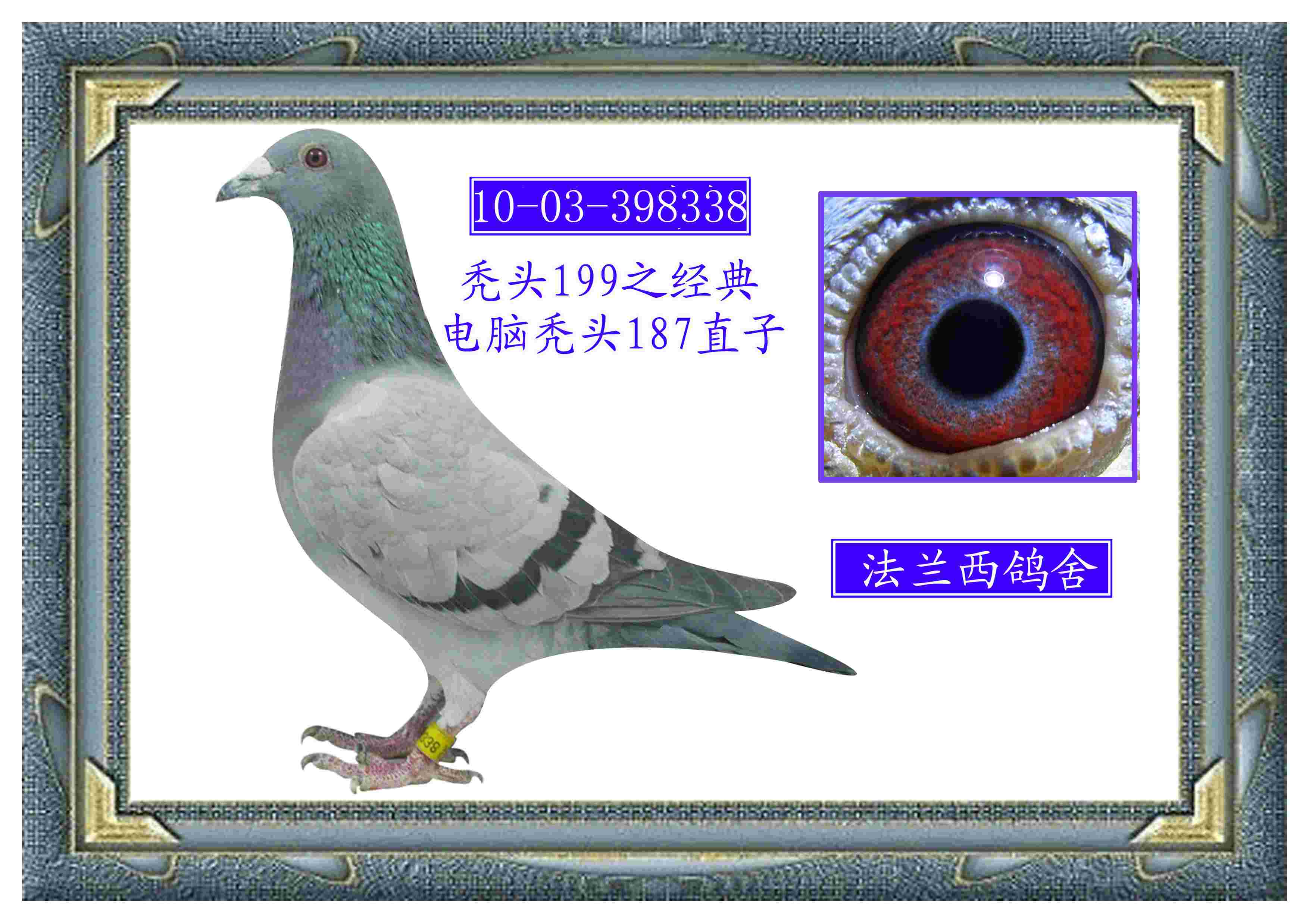 R(͹^187)Ӵ(D(zhun)׌)