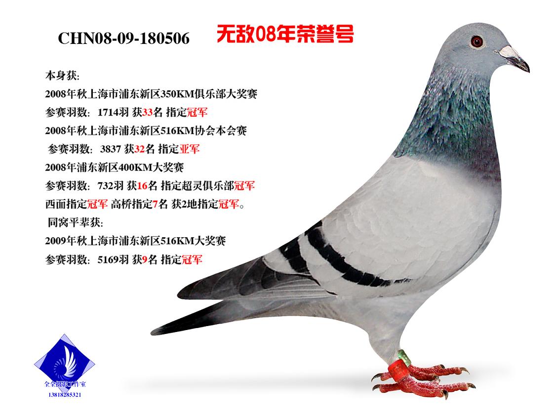 08o(w)su(y)̖(ho) D(zhun)