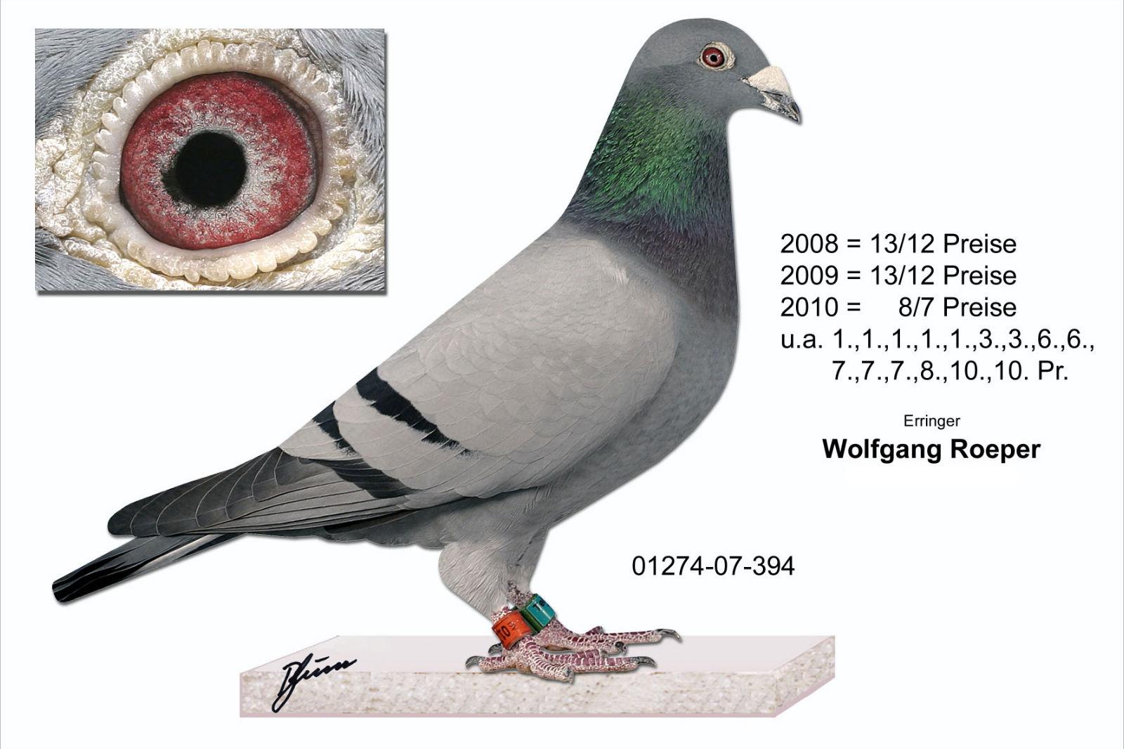 01274-07-394