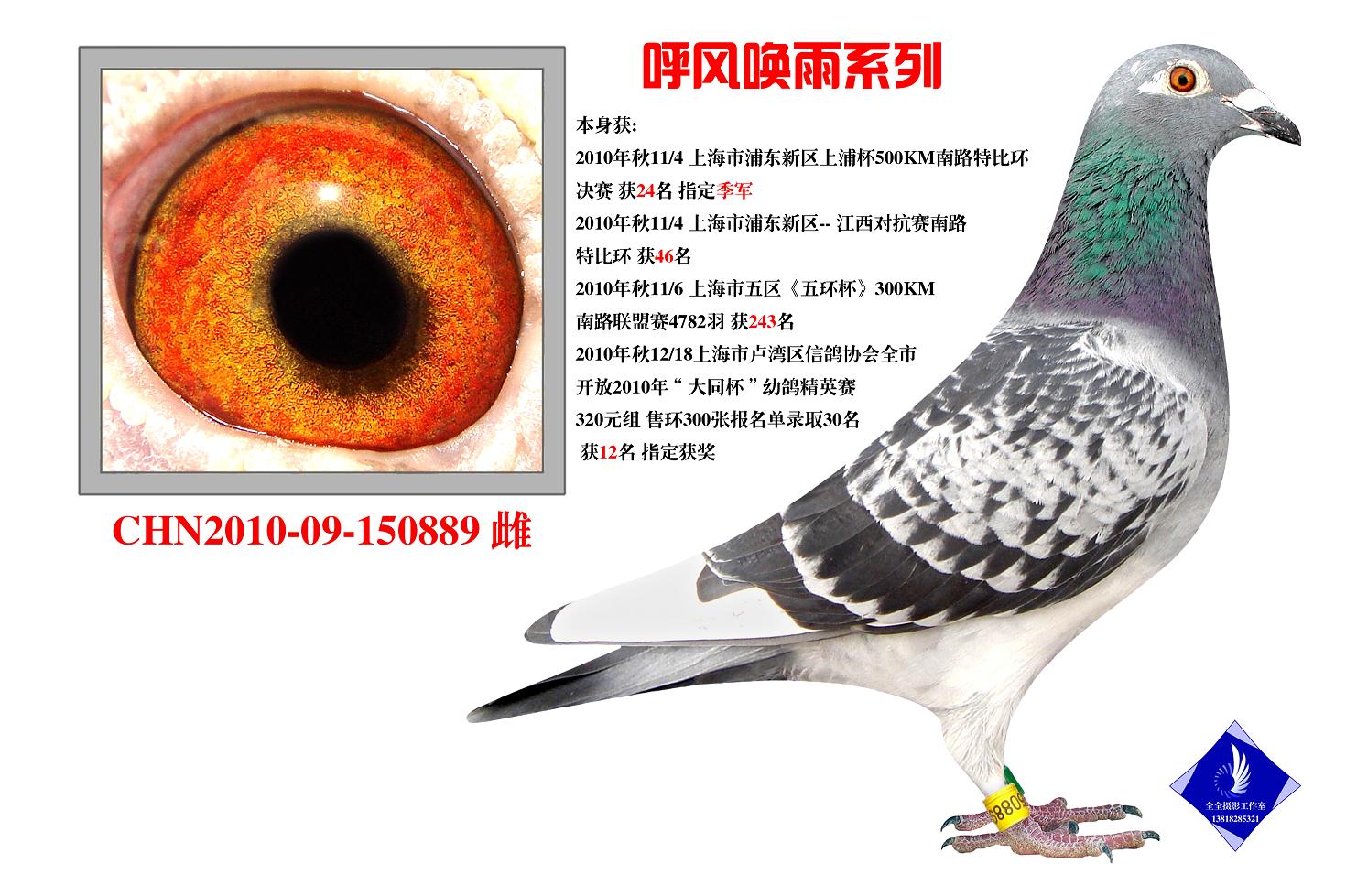 L(fng)889 D(zhun)