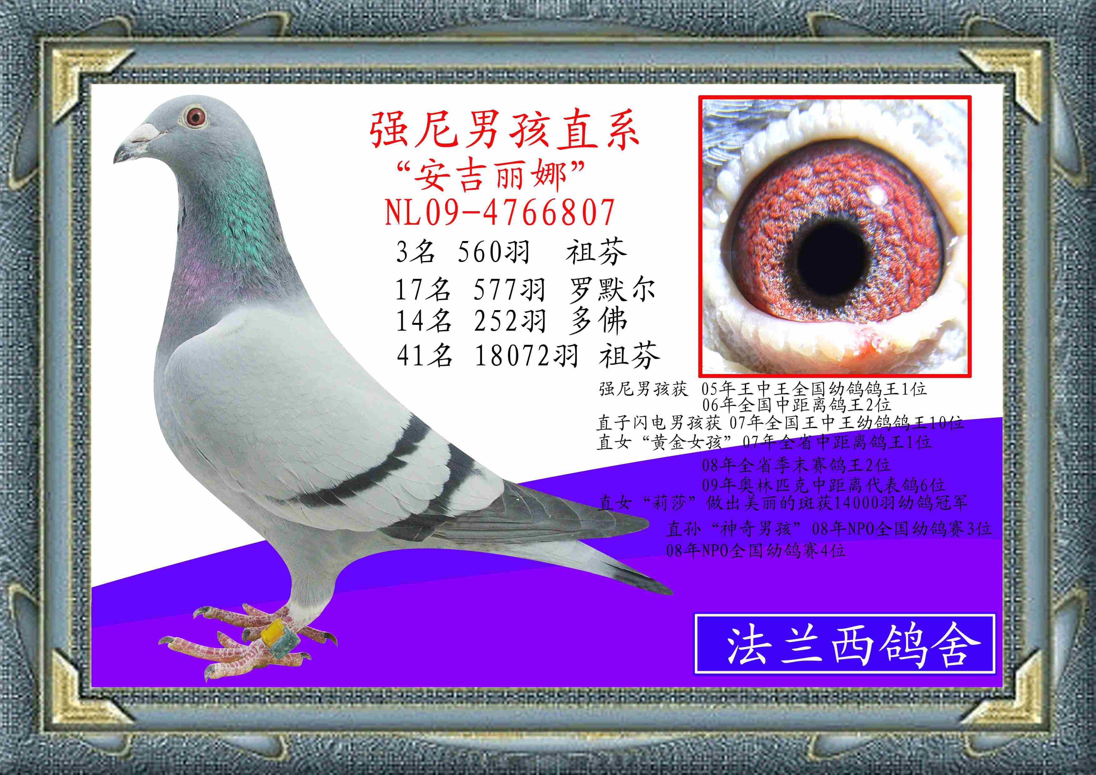 (qing)кֱϵ()