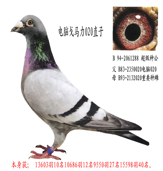 020孙女