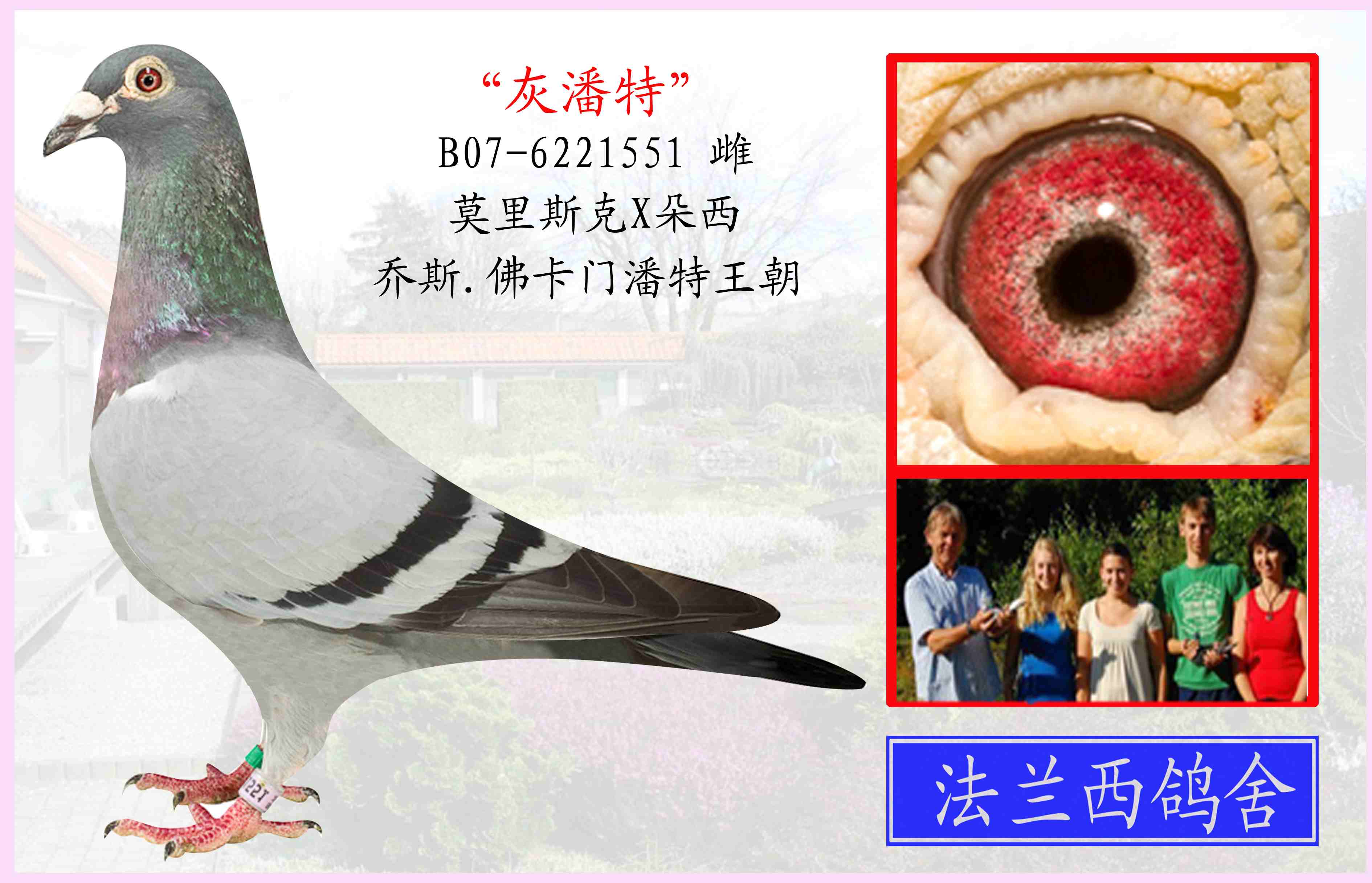 乔斯佛卡门(灰潘特)