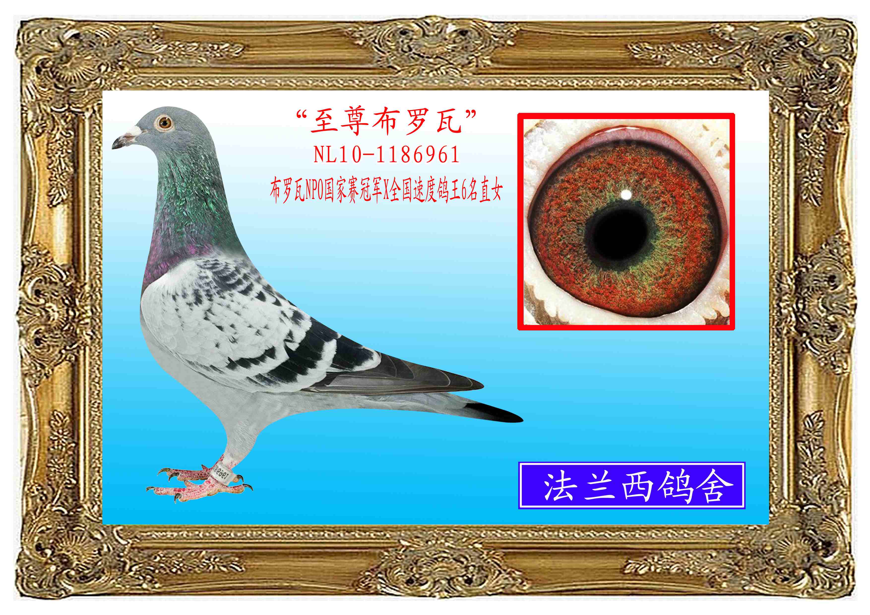 (_)NPOِ܊ֱ961