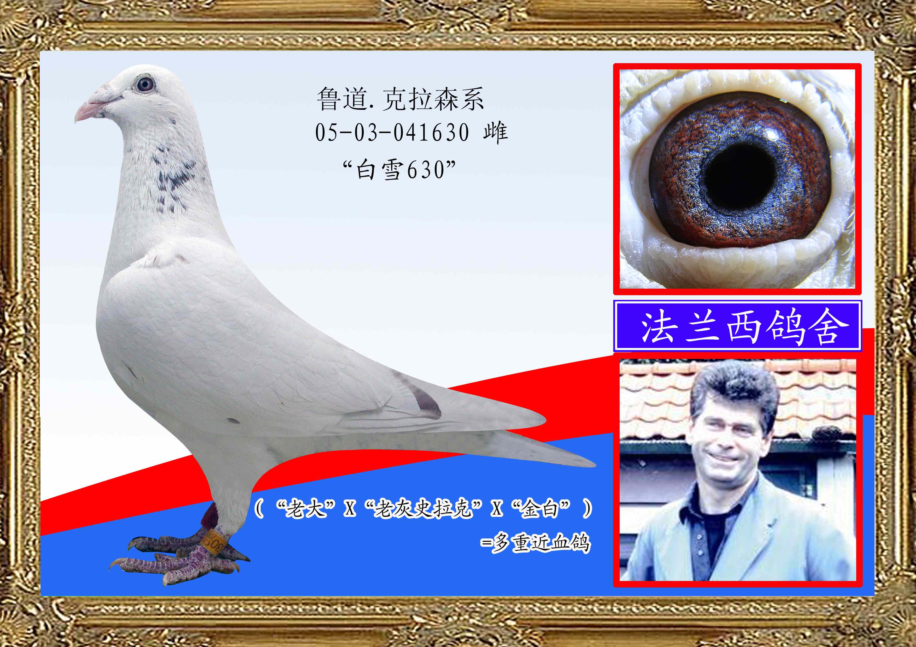 (ѩ ) ?sh)?ɭ