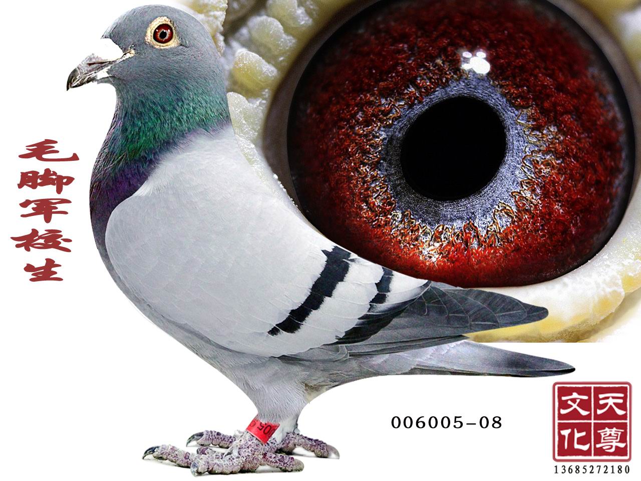 ë_܊У