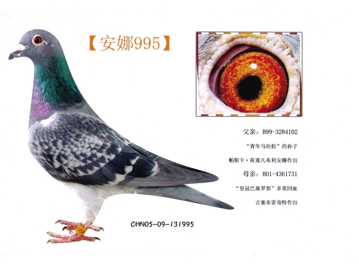 995