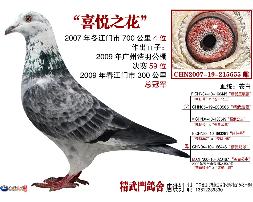 喜悦之花