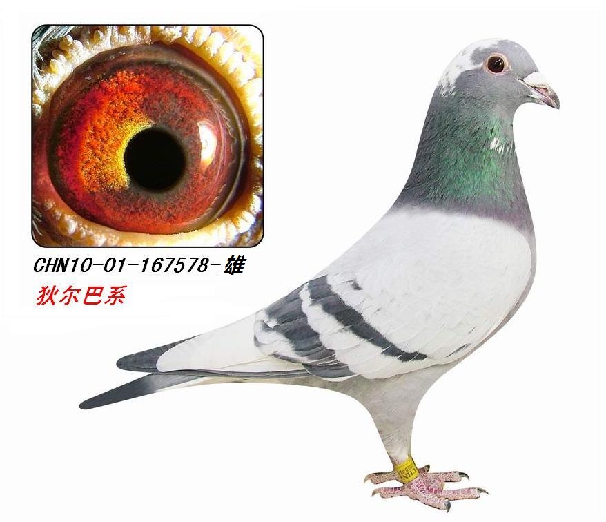 ���Ҷ���/ղɭ167578�š���