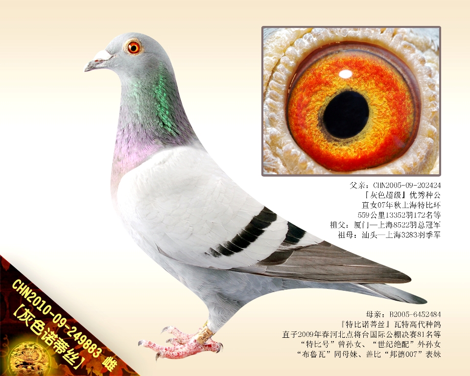 ɫZٽzOƷˡֱOŮ