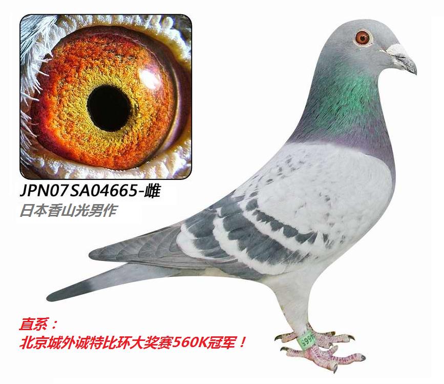 ��ɽ�����������볬����ϵ����ɽ665�š�