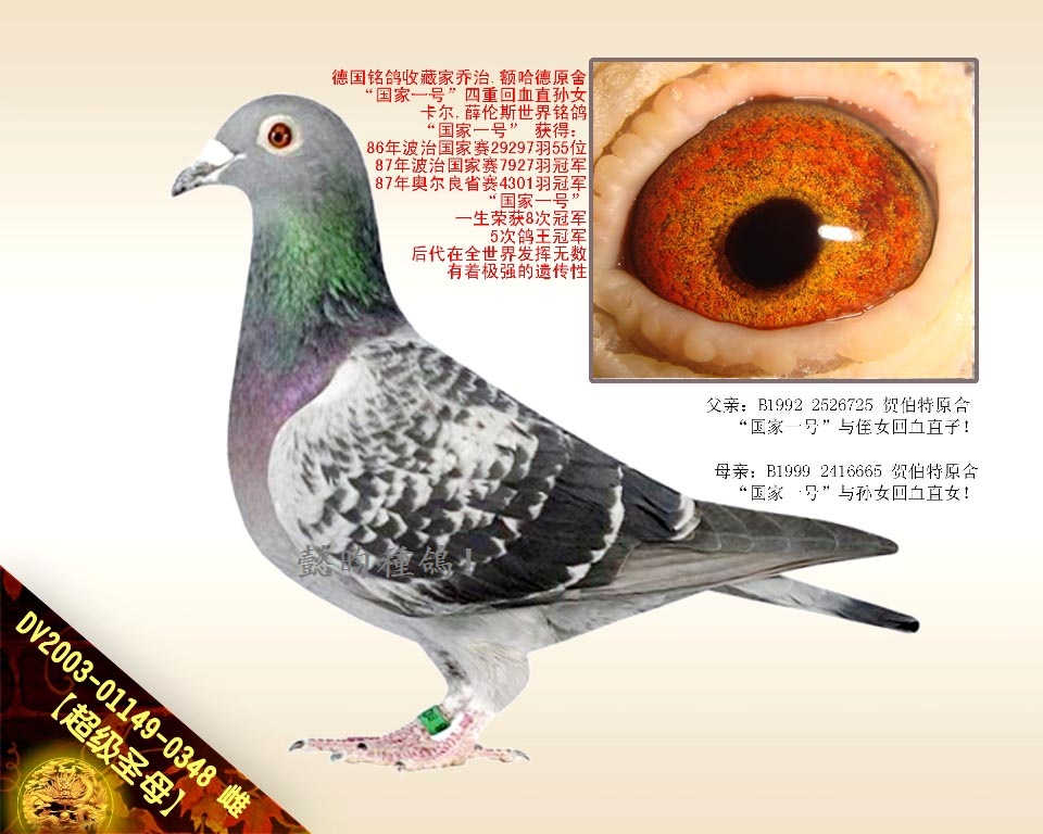 ʥĸһ̖ѪOŮ