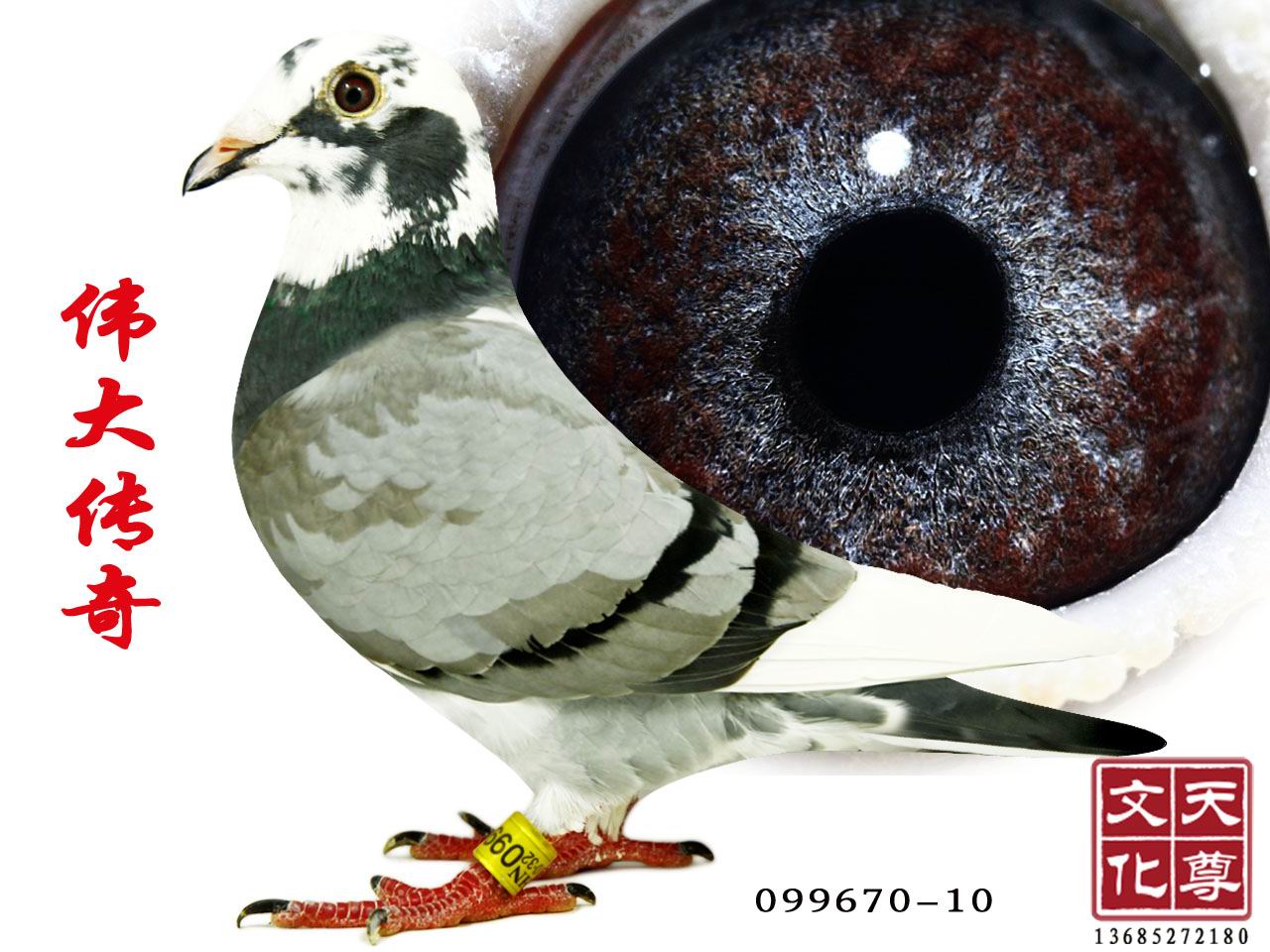   099670-10