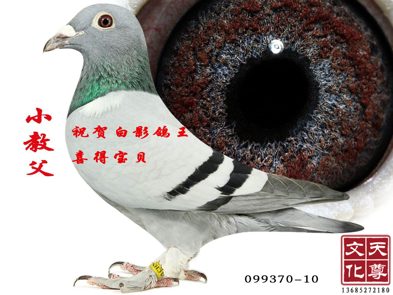 С̸  099370-10