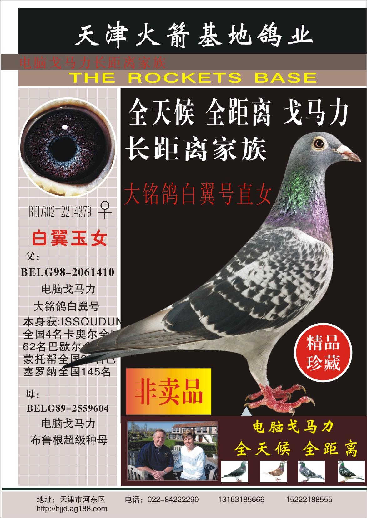 白翼玉女