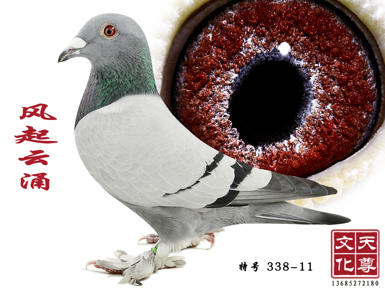 L(fng)ӿ  ̖ 338-11