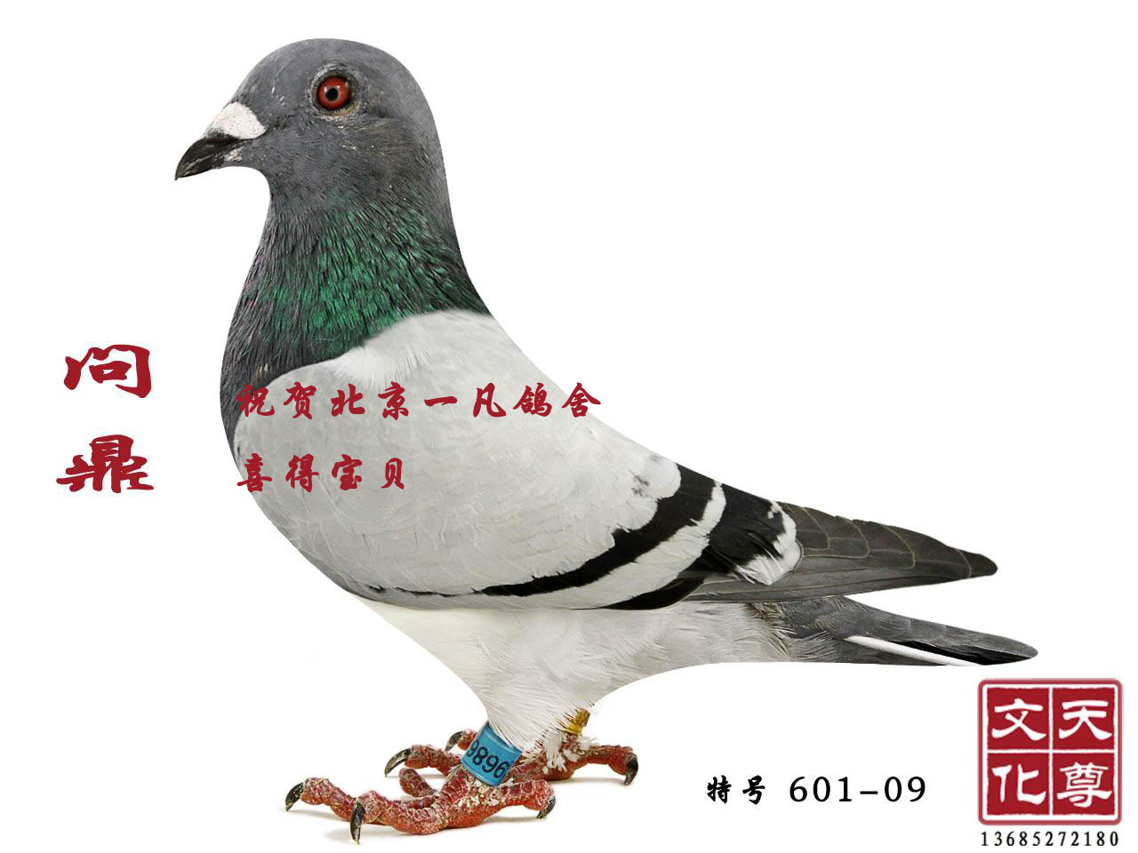   ̖ 601-09