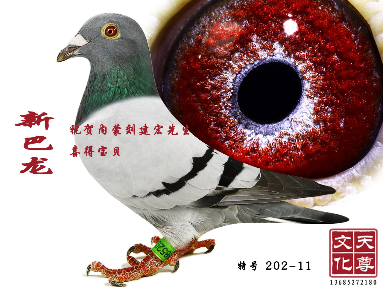 °  ̖ 202-11