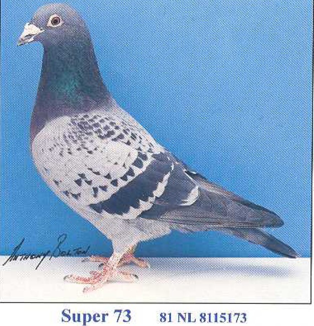 73