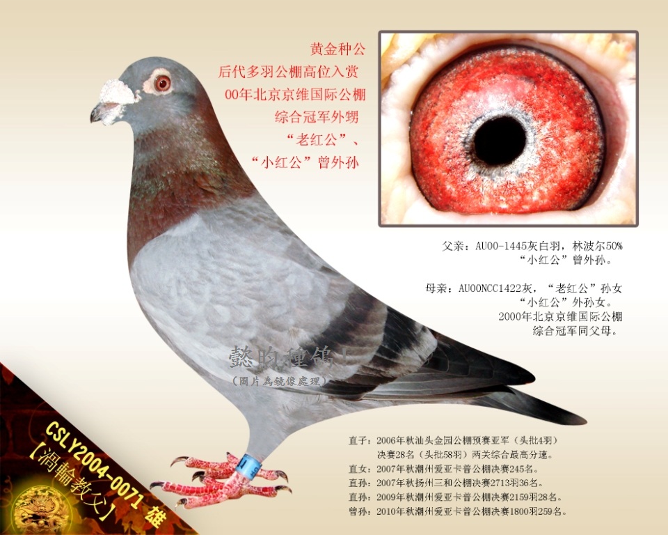 u̸݆