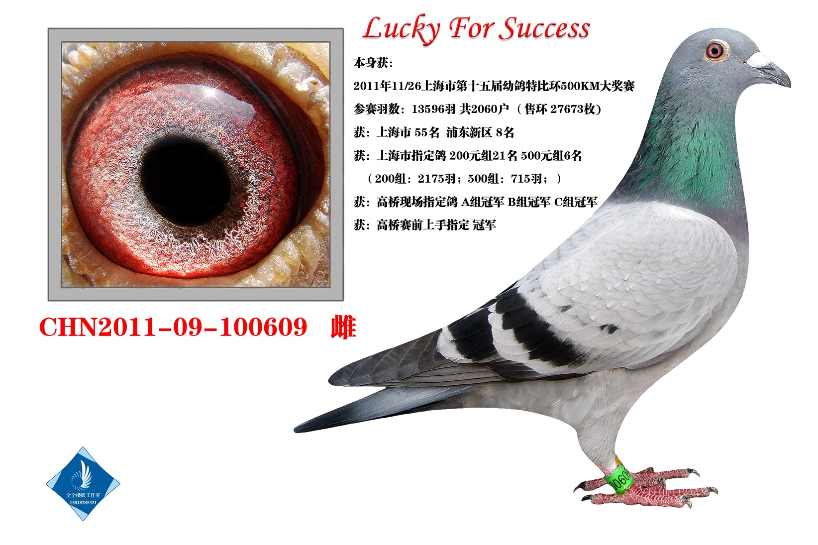 Lucky For Success D(zhun)