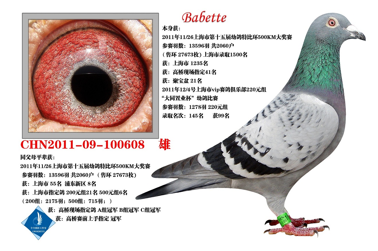 Babette  D(zhun)ղ