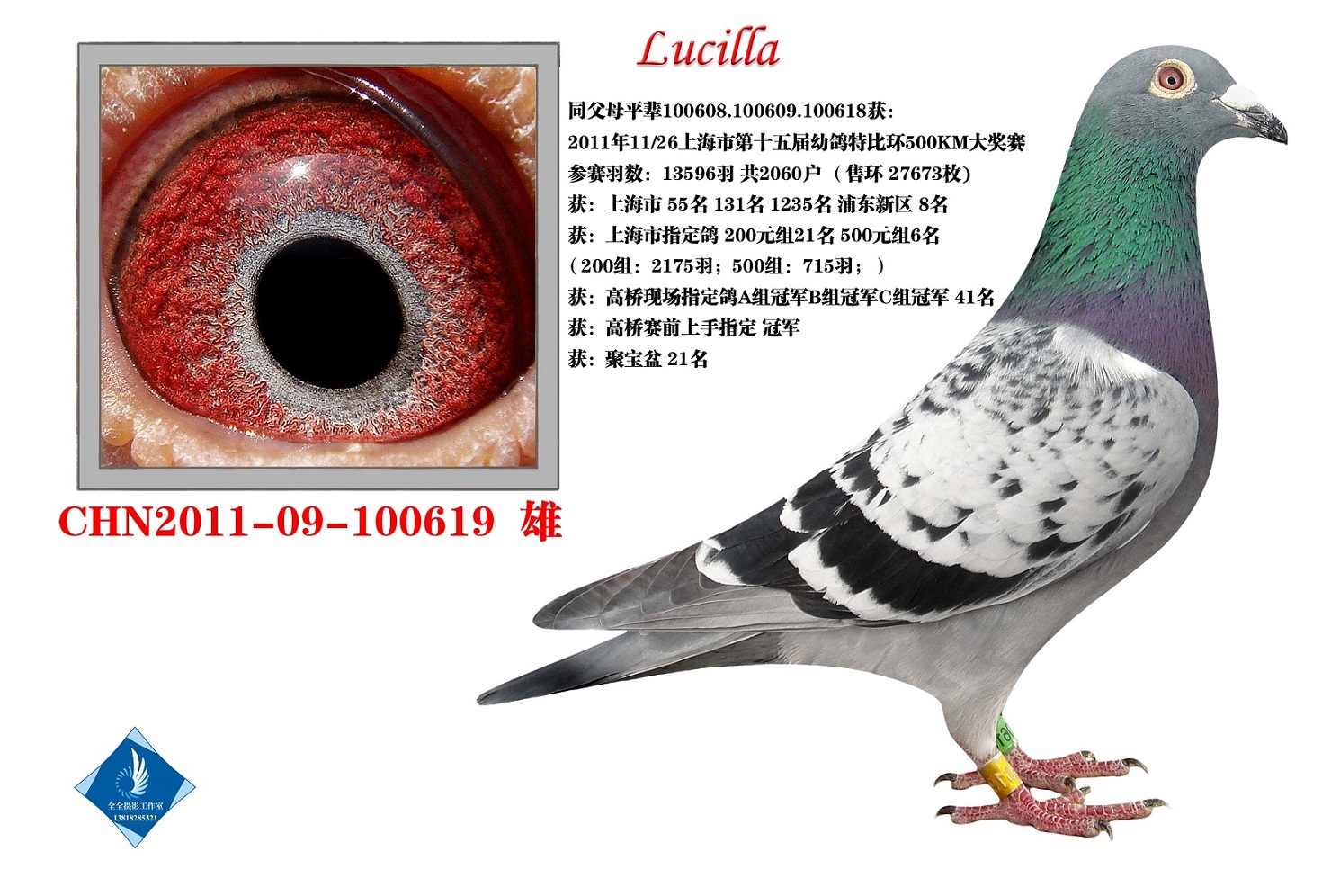 Lucilla  D(zhun)