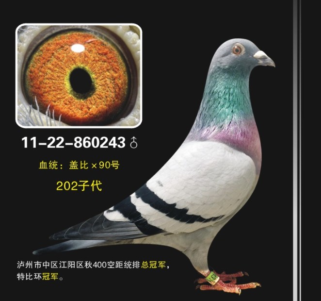 盖比*90号