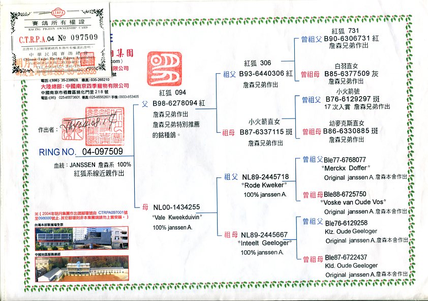 詹森"红狐"血系种雌509(已转让)