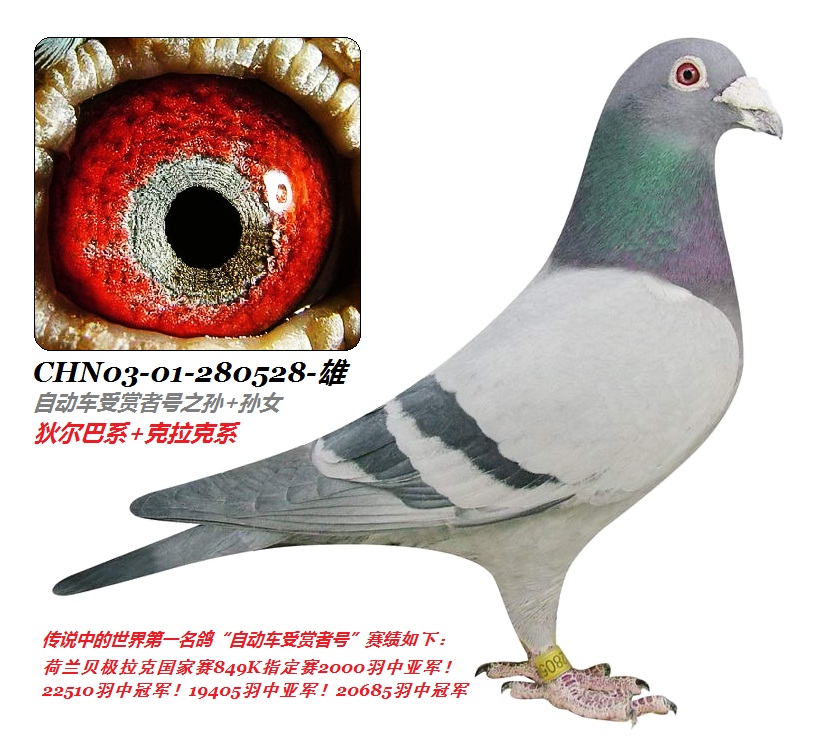 ���Ҷ���280582�š�-��