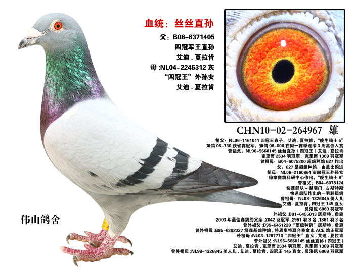 (wn)÷N