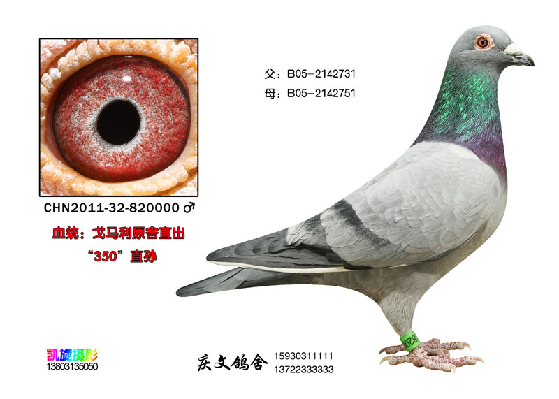 R020