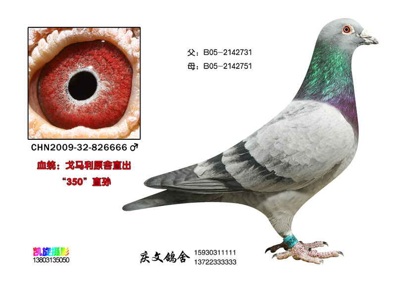 R020