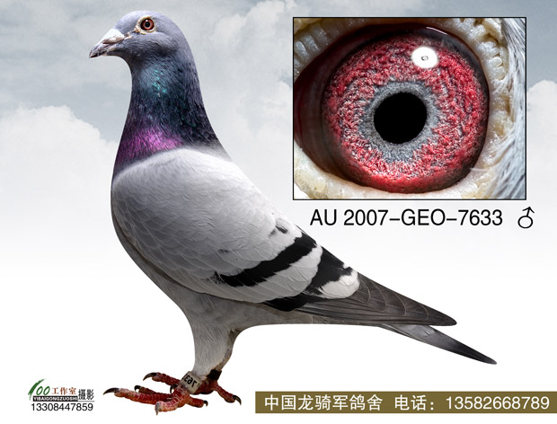 美國(guó)CBS奔馳公棚400英里冠軍
