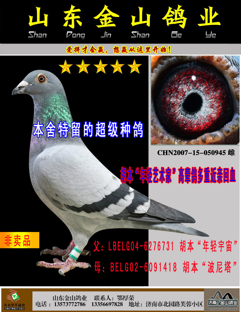 p桱X
