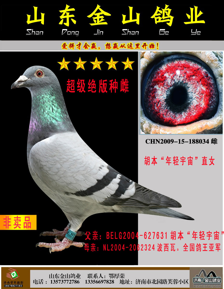 p桱ֱŮ