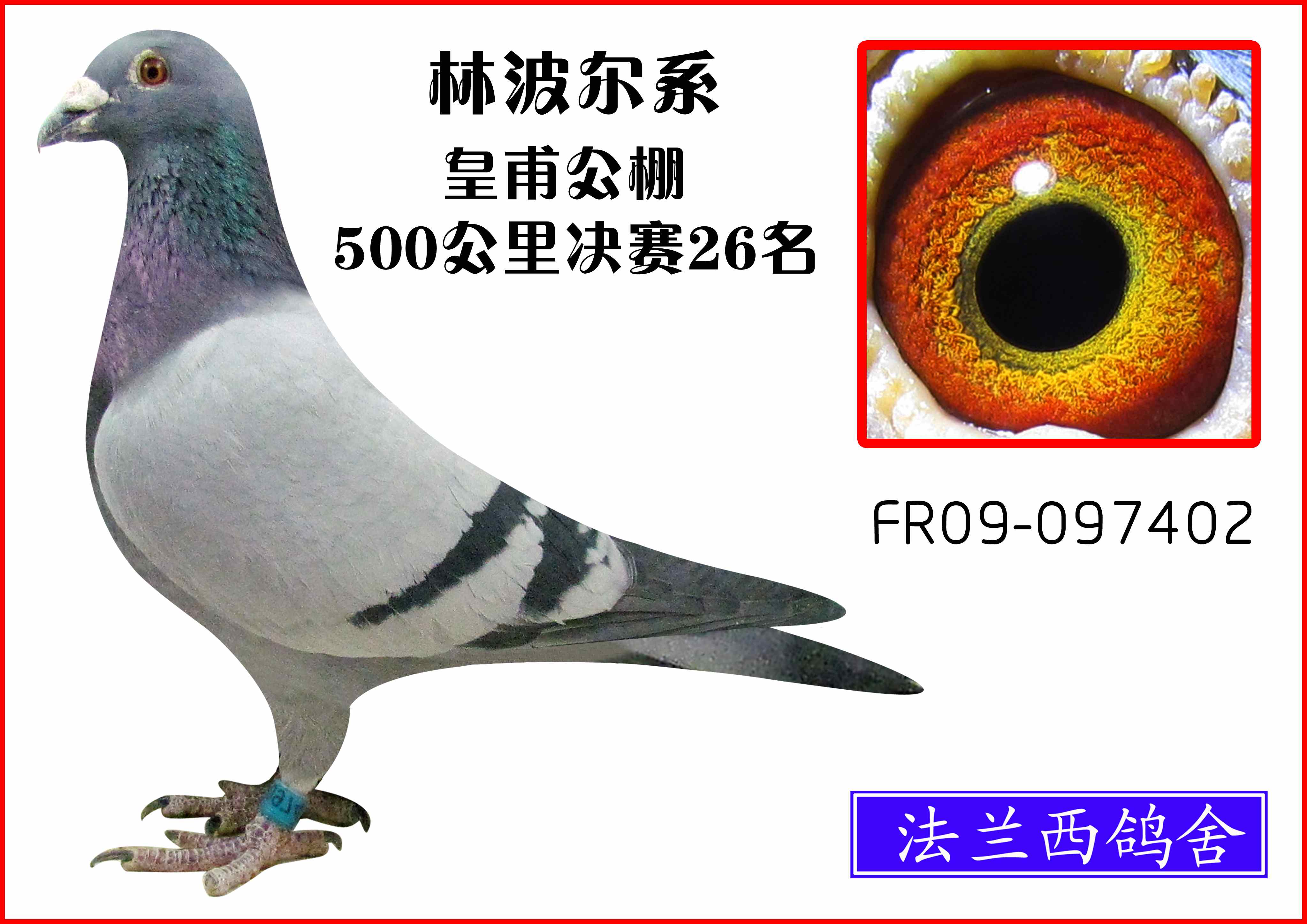 ʸ500Qِ26