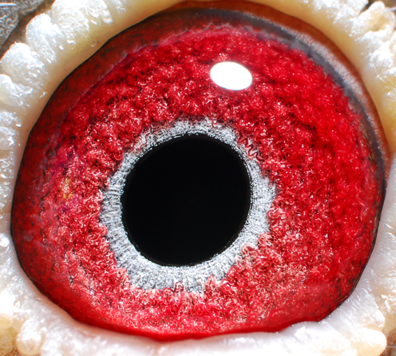 xinge19888完整版第十<em>季</em>19岁电影图片,<em>信哥第</em>