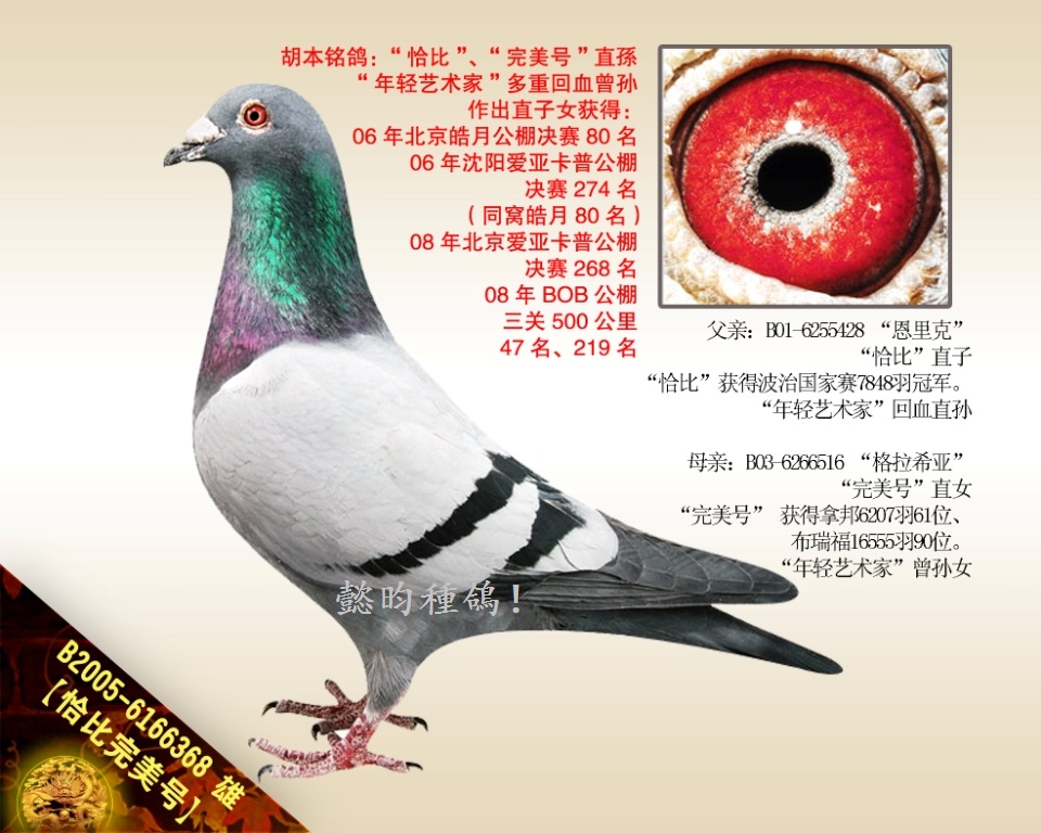 ǡ̖ǡȡֱ̖O