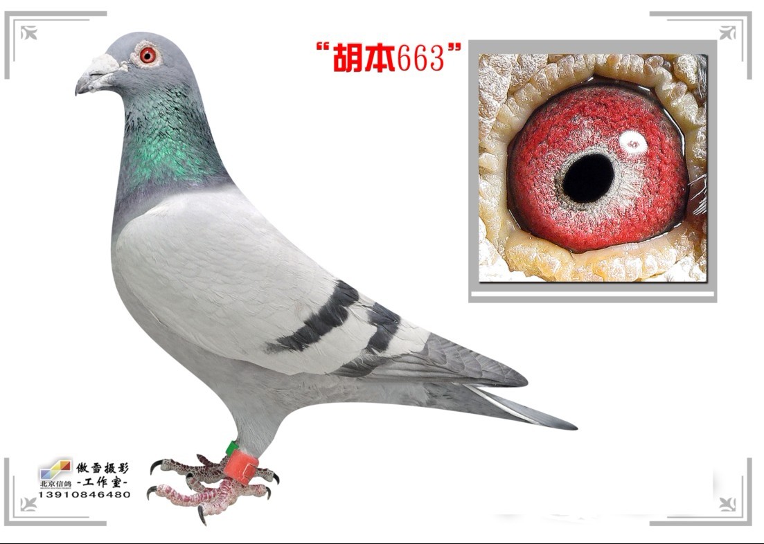 663