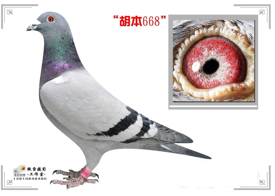 668
