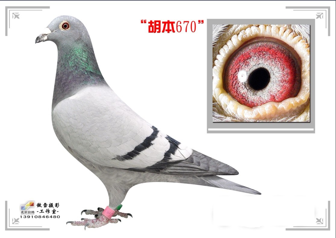 670