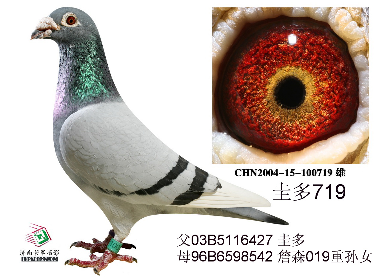 719uƷ