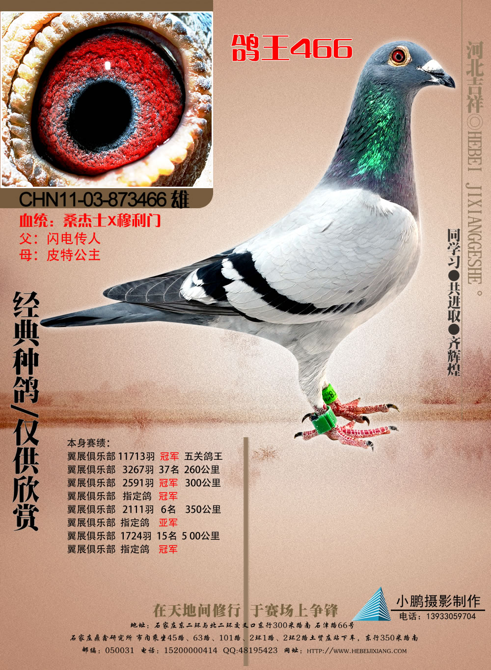 ɣʿ 466