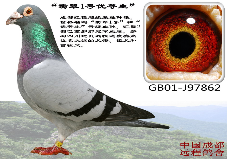 h̿ٷN1̖(yu)