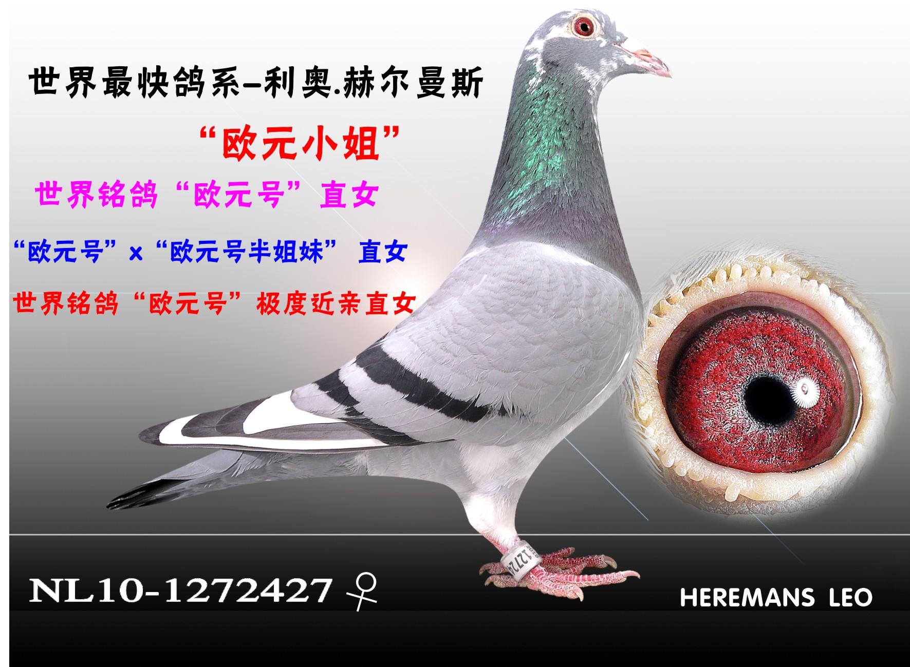 W.R˹WԪ̖(ho)ֱŮ
