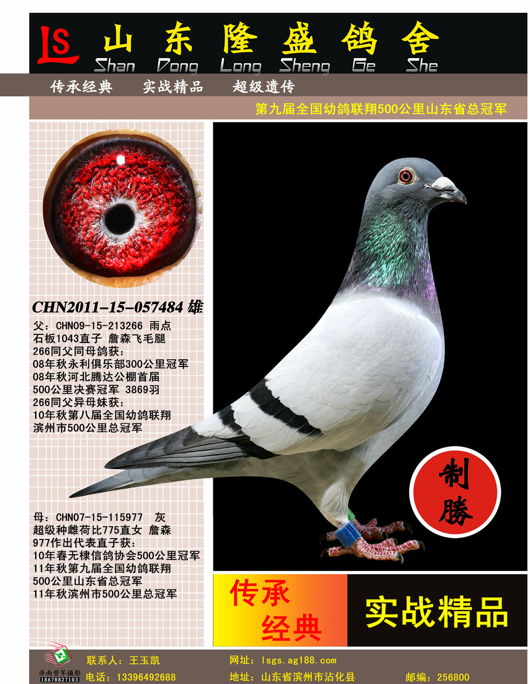 ɽ��ʡ�׸��ܹھ�