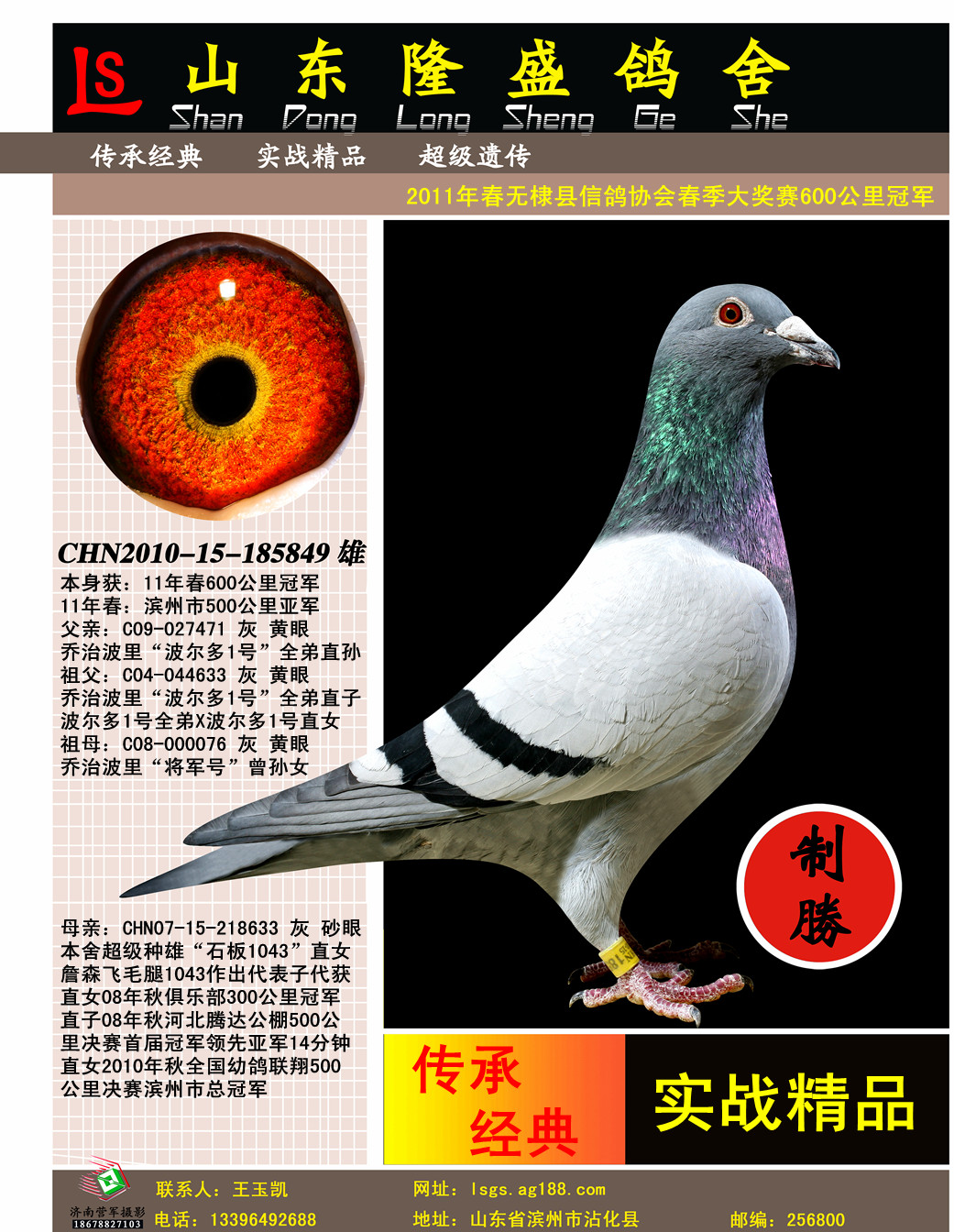 ����600����ھ�